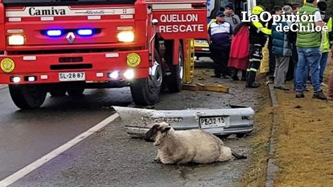 accidente quellón 5-8-2018