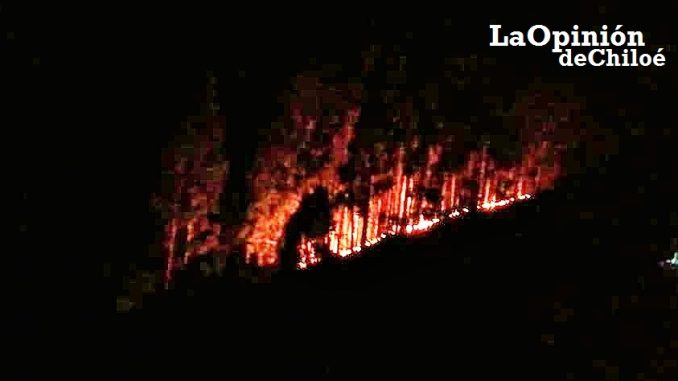 incendio forestal queler