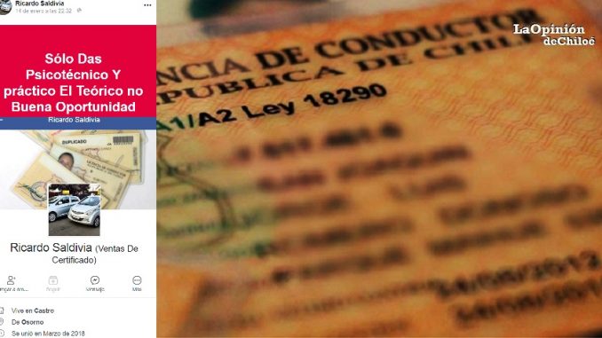 licencia falsa2