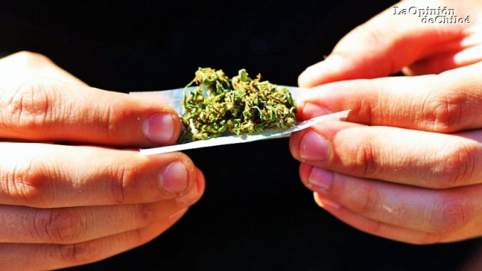 marihuana3