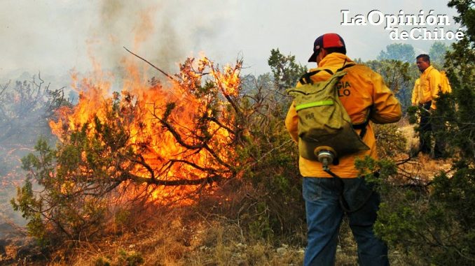 incendio forestal quellón