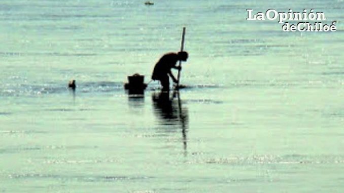 mariscando