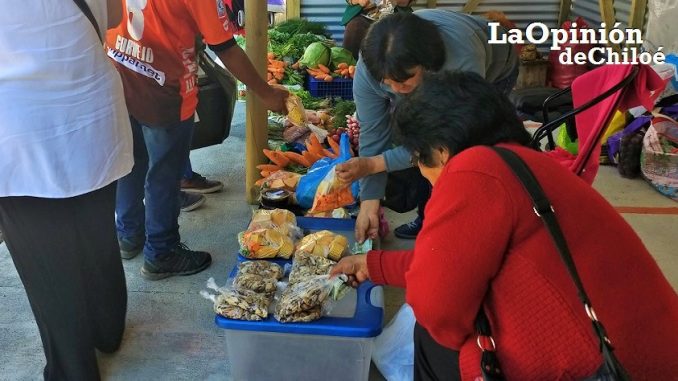 ambulante ancud
