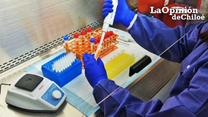 coronavirus12