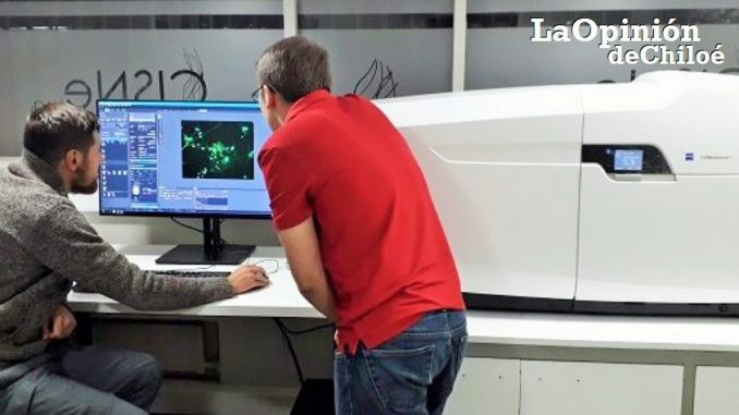 microscopio uach
