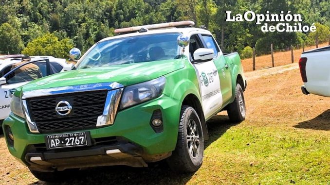 carabineros ref bosque